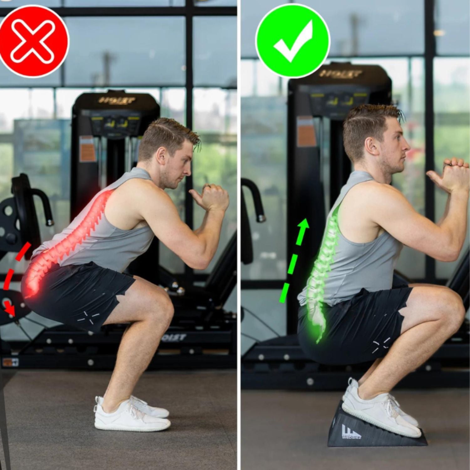 SQUAT SOURIRE α スクワットサポートツール ミズノのスクワットスリールα|整体師も使う手軽にでき足腰強化