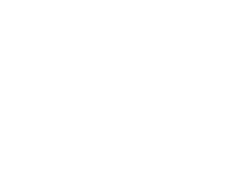 Squat Wedges logo