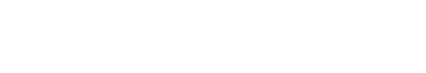 Squatwedgiez text logo